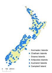 Hymenophyllum multifidum distribution map based on databased records at AK, CHR, OTA and WELT. 
 Image: K. Boardman © Landcare Research 2016 CC BY 3.0 NZ